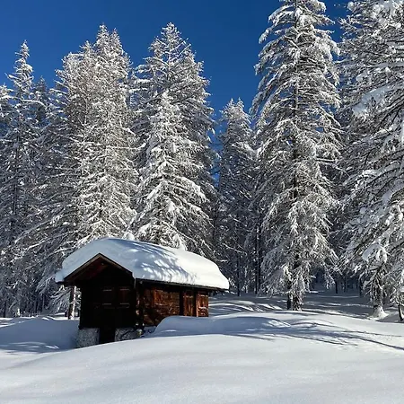 Διαμέρισμα Haus Krokus - Ferienwohnung Nr. 11 Oberwald